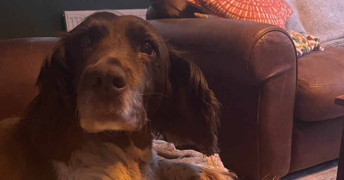 Running With Abandon Resting after