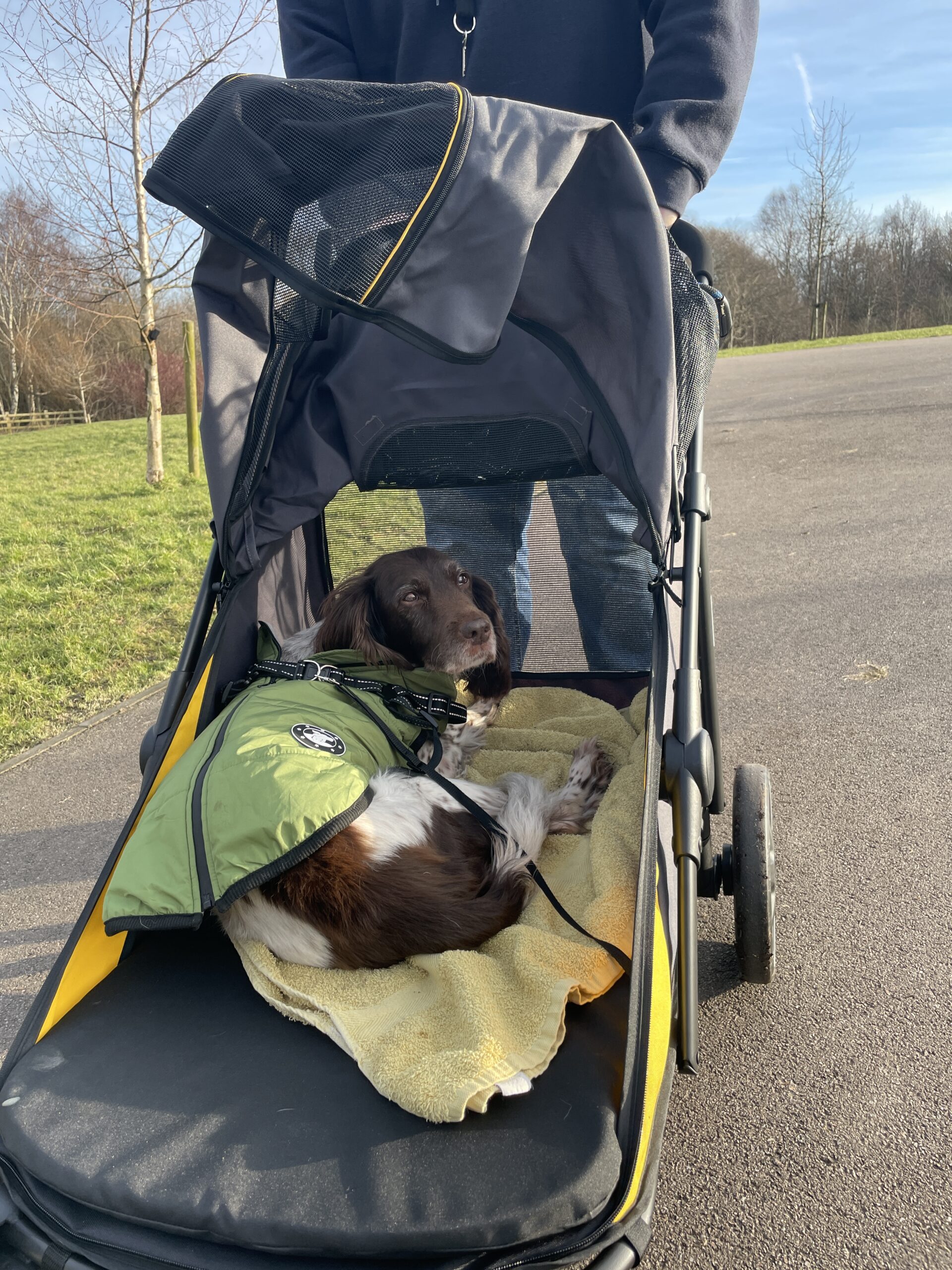 Poppy looking around