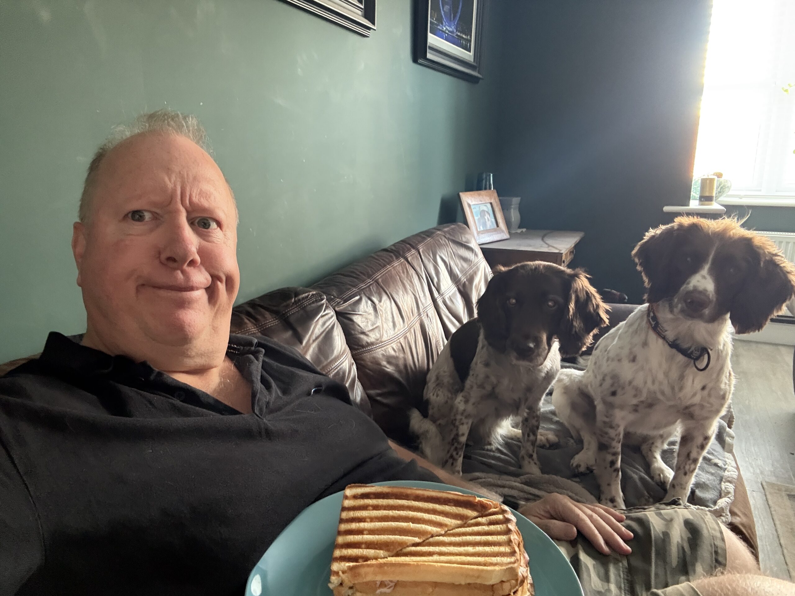 Sandwiches are NOT just for hoomans