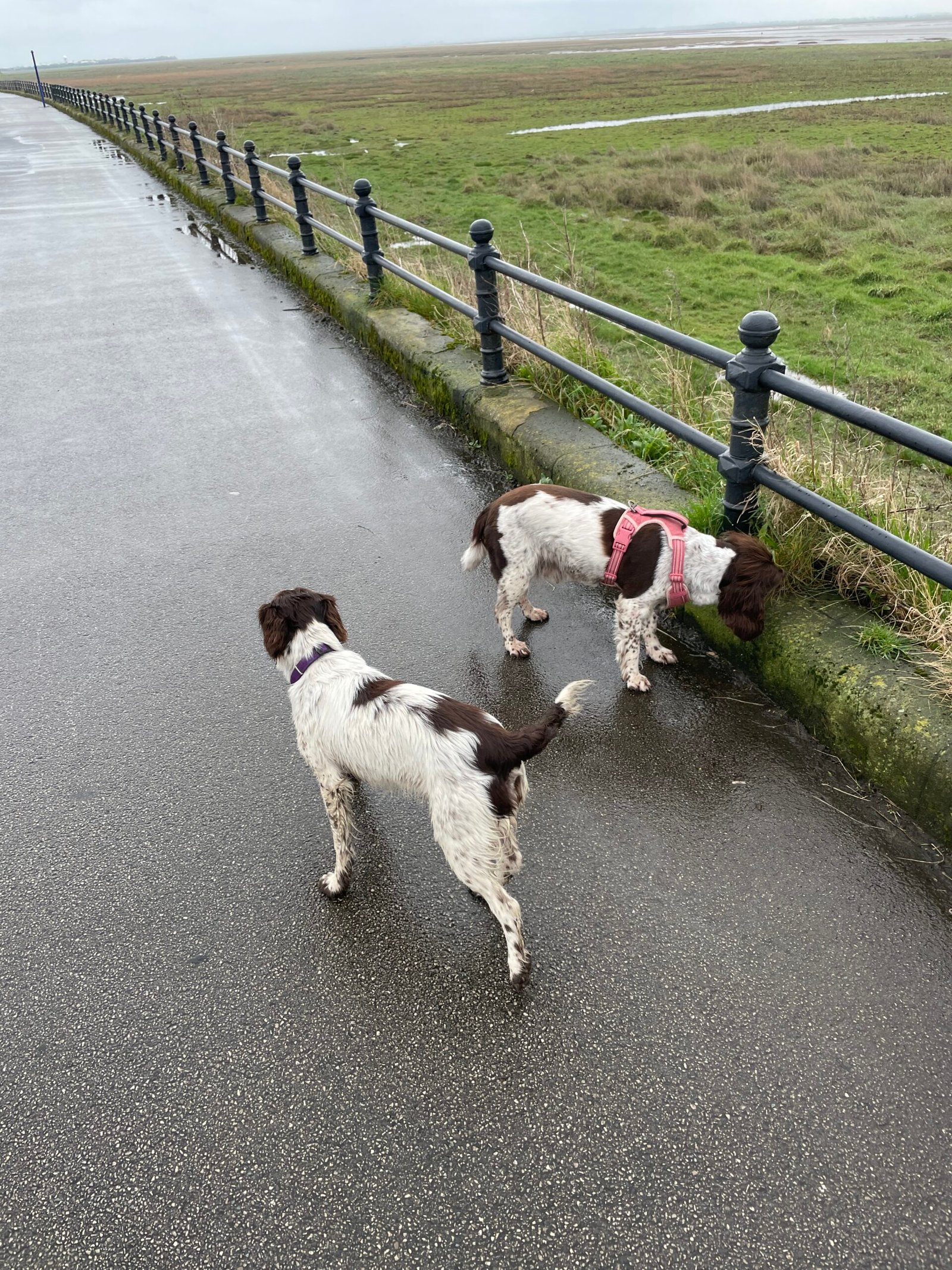 Me, Issy and Poppy together