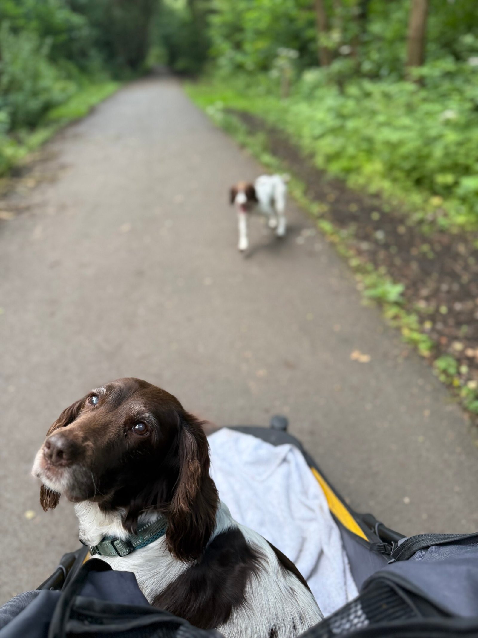 Me, Issy and Poppy together
