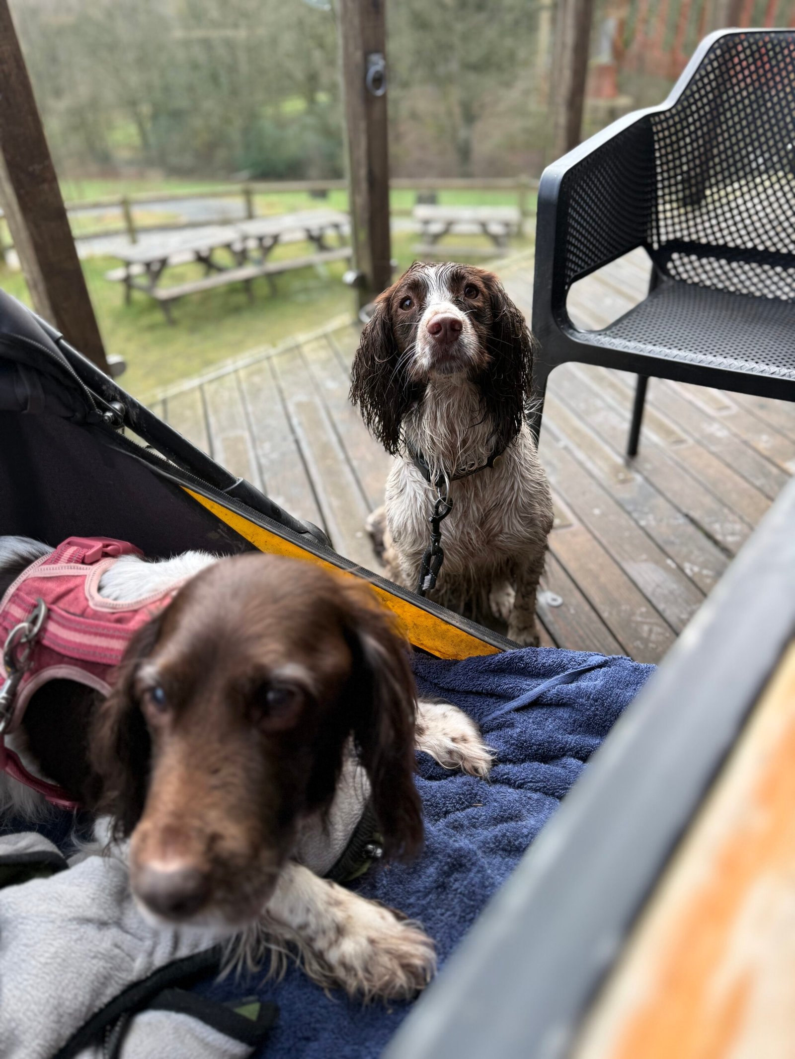 Me, Issy and Poppy together