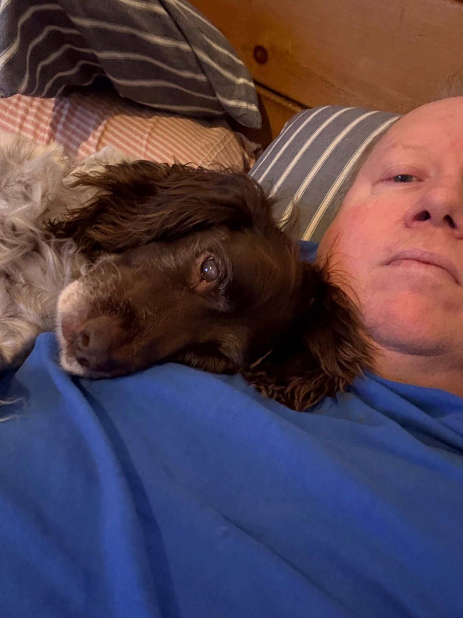 Having Poppy cuddles in bed.